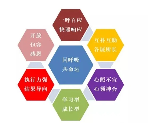 南宫·NG(中国)电子游戏官网