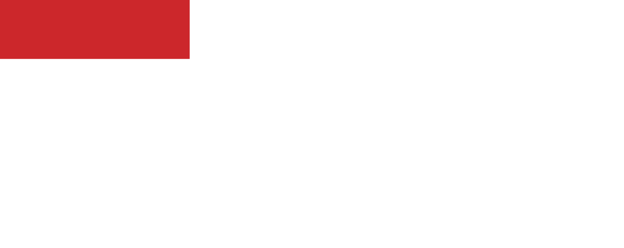 foot_logo